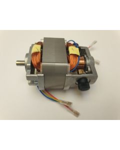 Moteur RALI Cut 110V